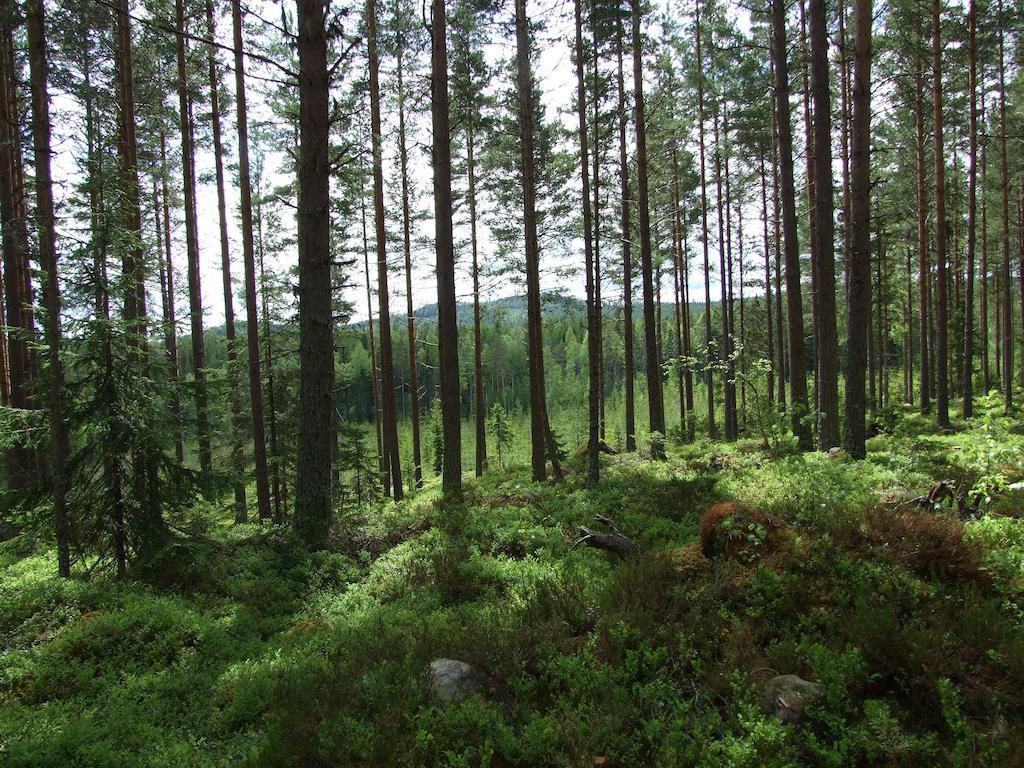 Hovra Vandrarhem Håvra Exterior photo
