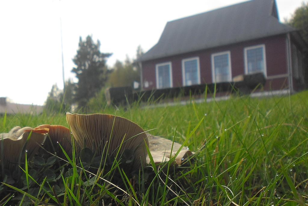 Hovra Vandrarhem Håvra Exterior photo